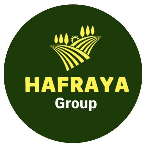 Hafraya Group